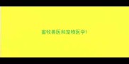 畜牧兽医和宠物医学