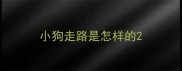小狗走路是怎样的