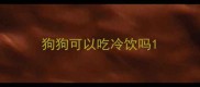 狗狗可以吃冷饮吗