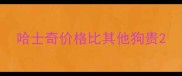哈士奇价格比其他狗贵