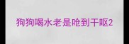 狗狗喝水老是呛到干呕