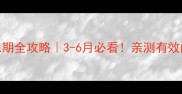 雪纳瑞爆毛期全攻略3-6月必看亲测有效的护理指南