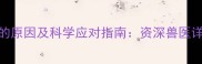 狗狗打疫苗不叫的原因及科学应对指南资深兽医详解应激管理技巧