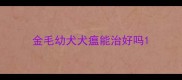 金毛幼犬犬瘟能治好吗