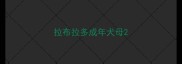 拉布拉多成年犬母