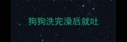 狗狗洗完澡后就吐