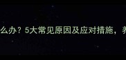 狗狗发抖怎么办5大常见原因及应对措施养宠人必看