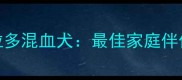 约克夏与拉布拉多混血犬最佳家庭伴侣犬的优缺点全