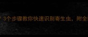 猫咪有虫怎么办3个步骤教你快速识别寄生虫附全网最全驱虫指南