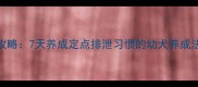 宠物如厕训练全攻略7天养成定点排泄习惯的幼犬养成法附实操指南