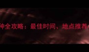 猫咪疫苗接种全攻略最佳时间地点推荐与注意事项