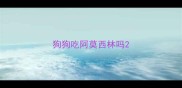 狗狗吃阿莫西林吗