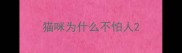 猫咪为什么不怕人
