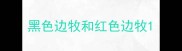 黑色边牧和红色边牧