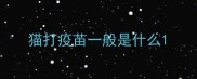 猫打疫苗一般是什么