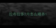 拉布拉多2月怎么喂养