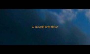 火车站能带宠物吗