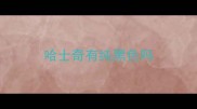 哈士奇有纯黑色吗