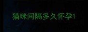 猫咪间隔多久怀孕
