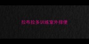 拉布拉多训练室外排便