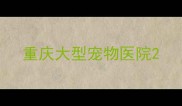 重庆大型宠物医院