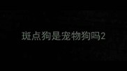 斑点狗是宠物狗吗