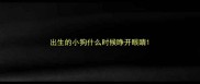 出生的小狗什么时候睁开眼睛