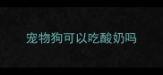 宠物狗可以吃酸奶吗