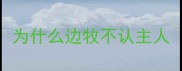 为什么边牧不认主人