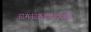 拉布拉多狗幼犬粮