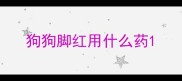 狗狗脚红用什么药