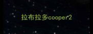 拉布拉多cooper