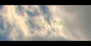 金毛chd关节病