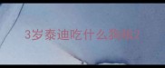 3岁泰迪吃什么狗粮