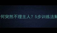 哈士奇幼犬为何突然不理主人5步训练法解决社交障碍