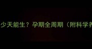 狗狗怀孕多少天能生孕期全周期附科学养护指南