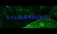 边牧皮肤病可以打针吗