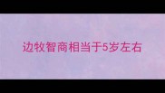 边牧智商相当于5岁左右