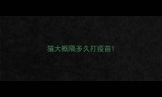 猫大概隔多久打疫苗