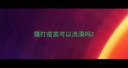 猫打疫苗可以洗澡吗