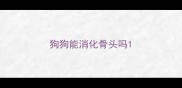 狗狗能消化骨头吗