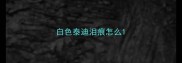 白色泰迪泪痕怎么