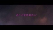 两个月茶杯狗细小
