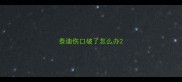 泰迪伤口破了怎么办