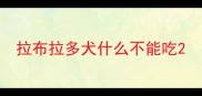 拉布拉多犬什么不能吃
