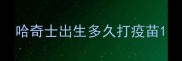 哈奇士出生多久打疫苗