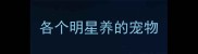 各个明星养的宠物