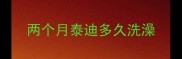 两个月泰迪多久洗澡