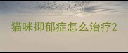 猫咪抑郁症怎么治疗