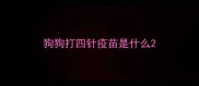 狗狗打四针疫苗是什么